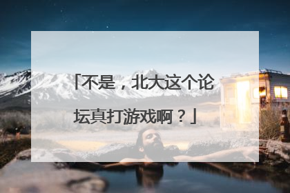 不是，北大这个论坛真打游戏啊？