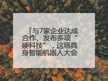 与7家企业达成合作、发布多项“硬科技”，这场具身智能机器人大会蓉城启幕