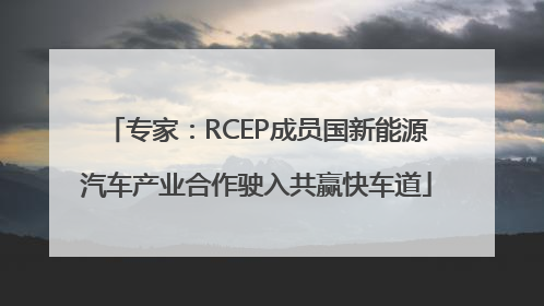 专家：RCEP成员国新能源汽车产业合作驶入共赢快车道