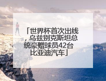 世界杯首次出线，乌兹别克斯坦总统豪赠球员42台比亚迪汽车