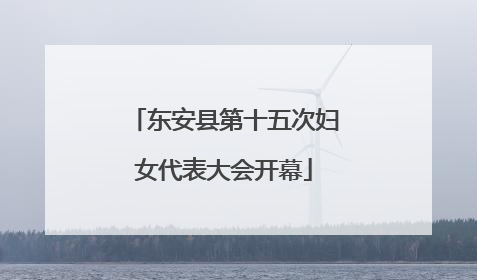 东安县第十五次妇女代表大会开幕