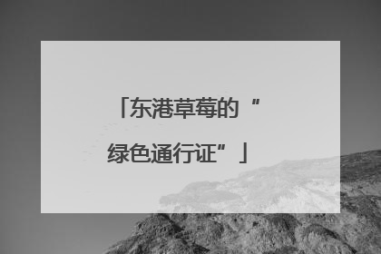 东港草莓的“绿色通行证”