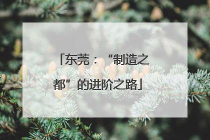 东莞：“制造之都”的进阶之路