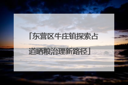东营区牛庄镇探索占道晒粮治理新路径