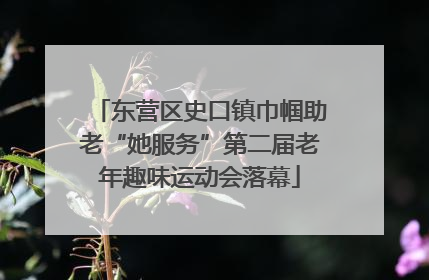 东营区史口镇巾帼助老“她服务”第二届老年趣味运动会落幕