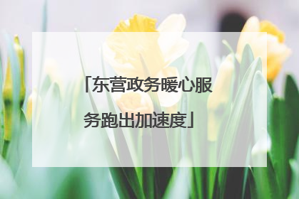 东营政务暖心服务跑出加速度