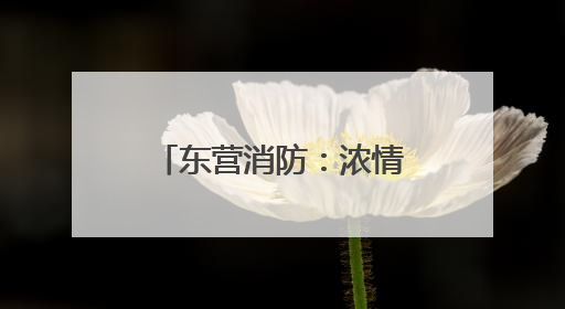 东营消防：浓情端午 粽叶飘香