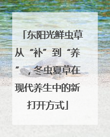 东阳光鲜虫草从“补”到“养”，冬虫夏草在现代养生中的新打开方式