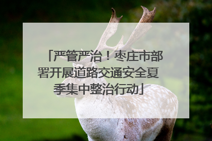 严管严治！枣庄市部署开展道路交通安全夏季集中整治行动
