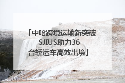 中哈跨境运输新突破 SJIUS助力36台轿运车高效出境