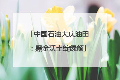 中国石油大庆油田：黑金沃土绽绿颜