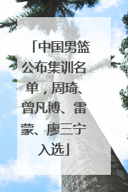 中国男篮公布集训名单，周琦、曾凡博、雷蒙、廖三宁入选