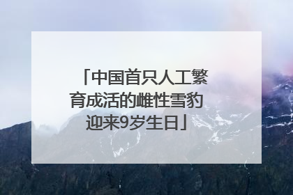 中国首只人工繁育成活的雌性雪豹迎来9岁生日