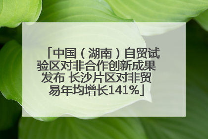 中国（湖南）自贸试验区对非合作创新成果发布 长沙片区对非贸易年均增长141%