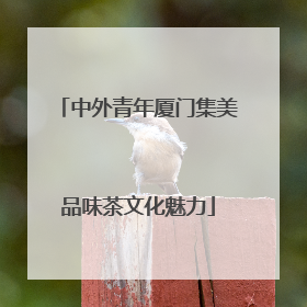 中外青年厦门集美品味茶文化魅力