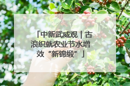 中新武威观｜古浪织就农业节水增效“新锦缎”