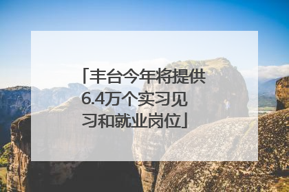 丰台今年将提供6.4万个实习见习和就业岗位