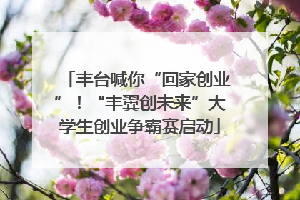 丰台喊你“回家创业”！“丰翼创未来”大学生创业争霸赛启动
