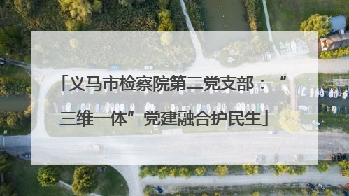义马市检察院第二党支部：“三维一体”党建融合护民生