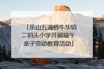 乐山五通桥牛华镇二码头小学开展端午亲子劳动教育活动