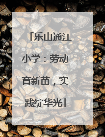 乐山通江小学：劳动育新苗，实践绽华光