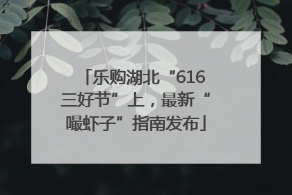 乐购湖北“616三好节”上，最新“嘬虾子”指南发布