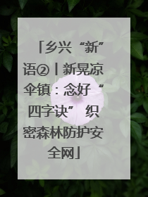 乡兴“新”语②丨新晃凉伞镇：念好“四字诀” 织密森林防护安全网