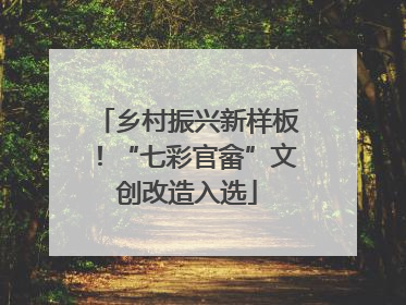 乡村振兴新样板！“七彩官畲”文创改造入选
