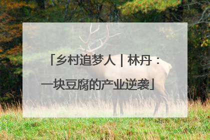 乡村追梦人｜林丹：一块豆腐的产业逆袭