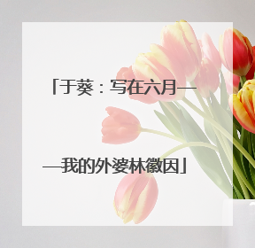 于葵：写在六月——我的外婆林徽因