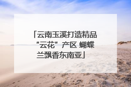云南玉溪打造精品“云花”产区 蝴蝶兰飘香东南亚