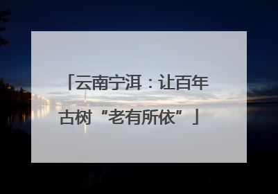 云南宁洱：让百年古树“老有所依”