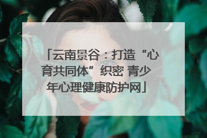 云南景谷：打造“心育共同体”织密 青少年心理健康防护网