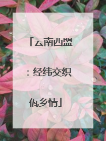 云南西盟：经纬交织佤乡情
