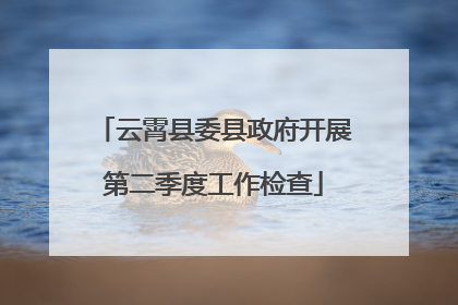 云霄县委县政府开展第二季度工作检查
