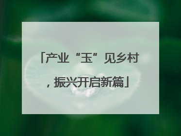 产业“玉”见乡村，振兴开启新篇
