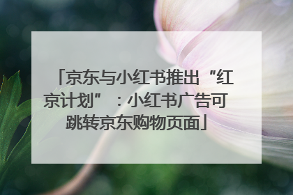 京东与小红书推出“红京计划”：小红书广告可跳转京东购物页面