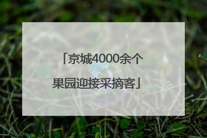 京城4000余个果园迎接采摘客