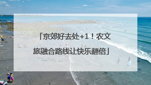 京郊好去处+1！农文旅融合路线让快乐翻倍