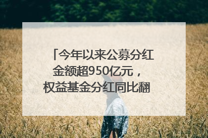 今年以来公募分红金额超950亿元，权益基金分红同比翻倍｜招财猫