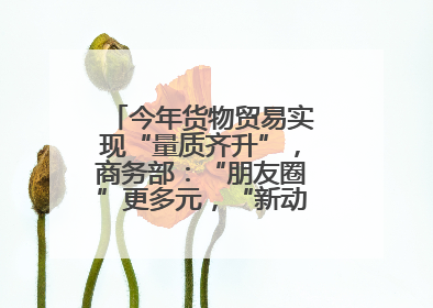 今年货物贸易实现“量质齐升”，商务部：“朋友圈”更多元，“新动能”加快集聚