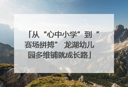 从“心中小学”到“赛场拼搏” 龙湖幼儿园多维铺就成长路