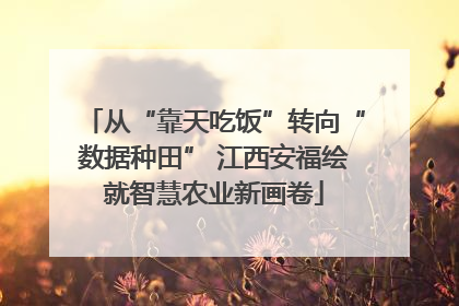 从“靠天吃饭”转向“数据种田” 江西安福绘就智慧农业新画卷