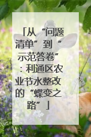 从“问题清单”到“示范答卷”：利通区农业节水整改的“蝶变之路”