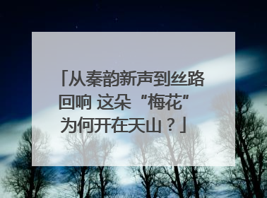 从秦韵新声到丝路回响 这朵“梅花”为何开在天山？