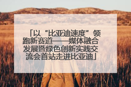 以“比亚迪速度”领跑新赛道——媒体融合发展暨绿色创新实践交流会首站走进比亚迪