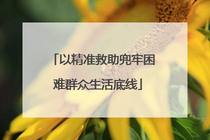 以精准救助兜牢困难群众生活底线