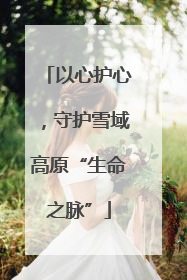 以心护心，守护雪域高原“生命之脉”