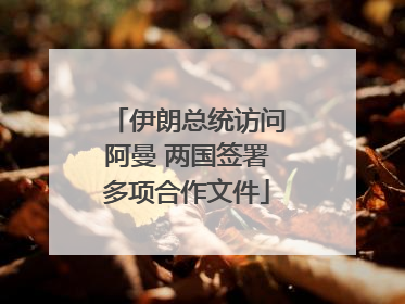 伊朗总统访问阿曼 两国签署多项合作文件