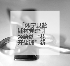 休宁县盐铺村党建引领绘就“花开盐铺”新图景